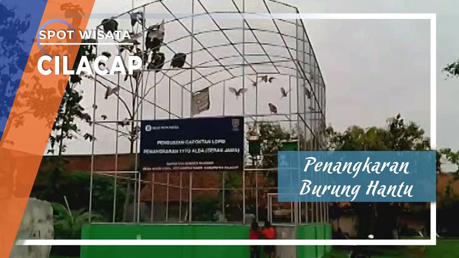 Penangkaran Burung Hantu dari Petani Lokal di Cilacap