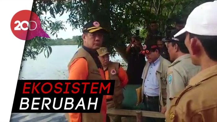 Tinjau Banjir Bengkulu, Kepala BNPB Ingatkan Lingkungan yang Berubah