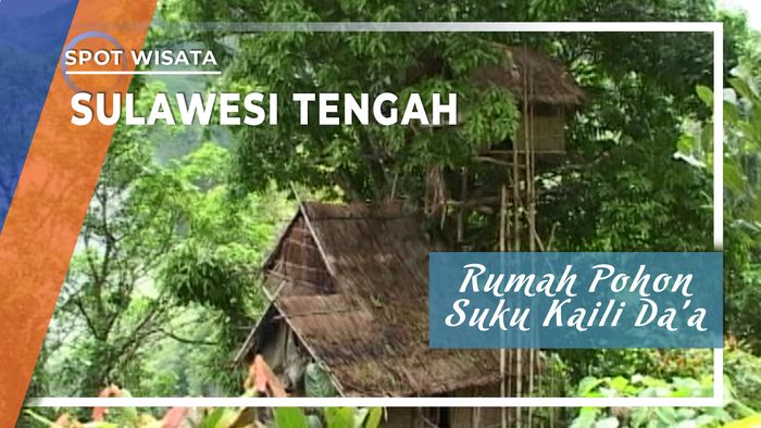 Rumah Pohon Suku Kaili Daa, Sulawesi Tengah 