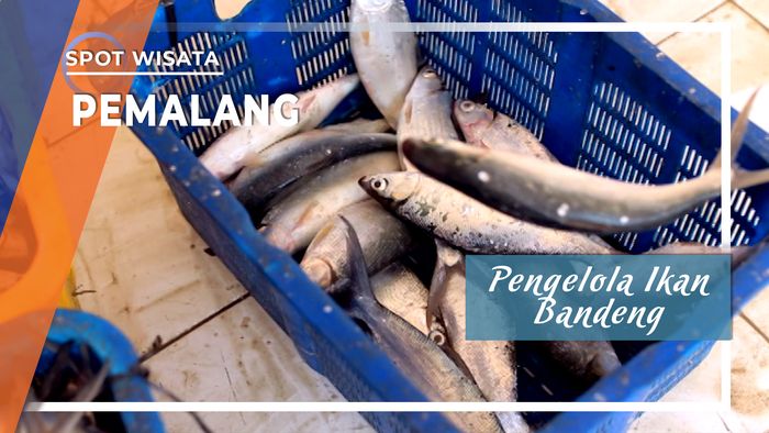 Pengolahan Ikan Bandeng Menjadi Buah Tangan, Pemalang