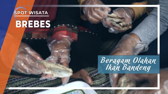 Beragam Olahan Ikan Bandeng Brebes
