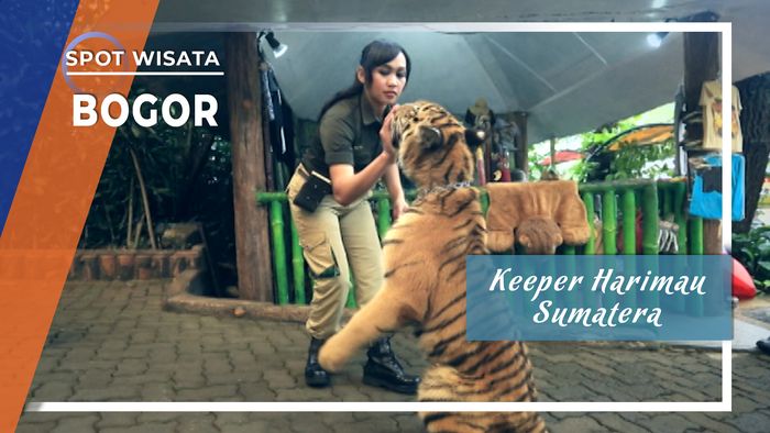 Keeper Harimau Sumatera, Bogor