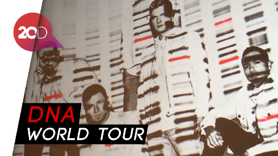 Backstreet Boys Konser di Jakarta, Promotor: Nggak Kalah sama K-Pop!