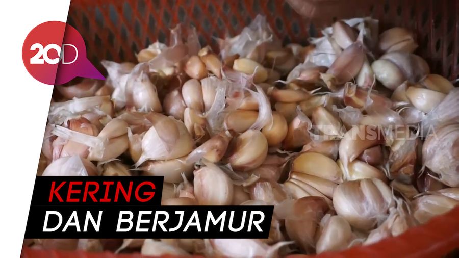 Bawang Putih Mahal, yang Busuk pun Dibeli