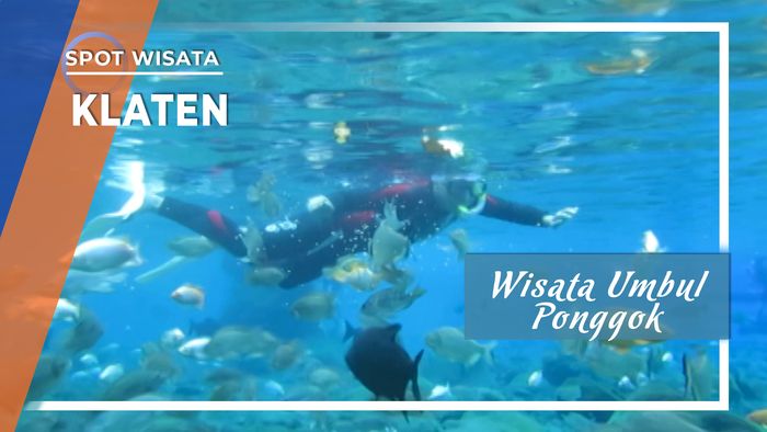 Sensasi Berenang dengan Ikan di Wisata Umbul Ponggok Klaten