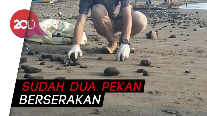 Aktivis Lingkungan Bebersih Batu Bara Telantar di Pantai Cipatuguran