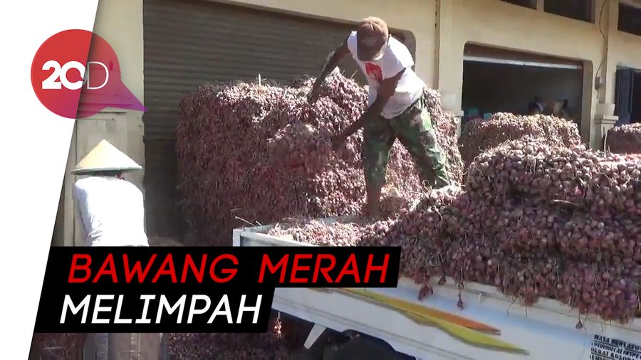 Jelang Panen Raya, Harga Bawang Merah Anjlok