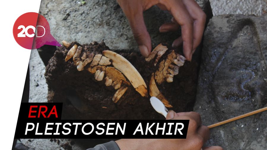Menelusuri Jejak Manusia Gua Pawon di Gunungmasigit