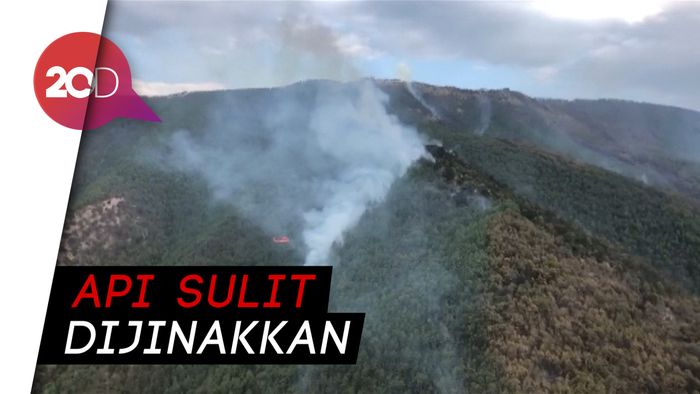  Hutan di Pegunungan China Terbakar, 460 Pemadam Dikerahkan