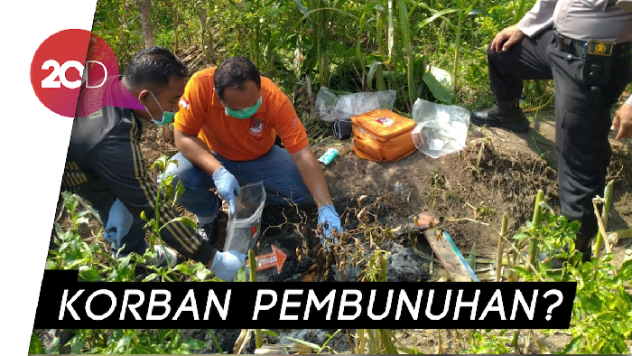 Mayat Pria Terbakar di Hutan Mojokerto, Ada Luka di Jasadnya
