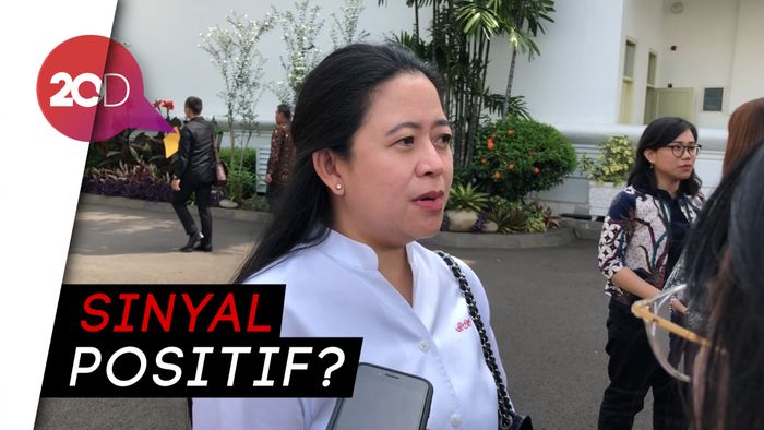 Jadi Kandidat Ketua DPR, Ini Kata Puan Maharani