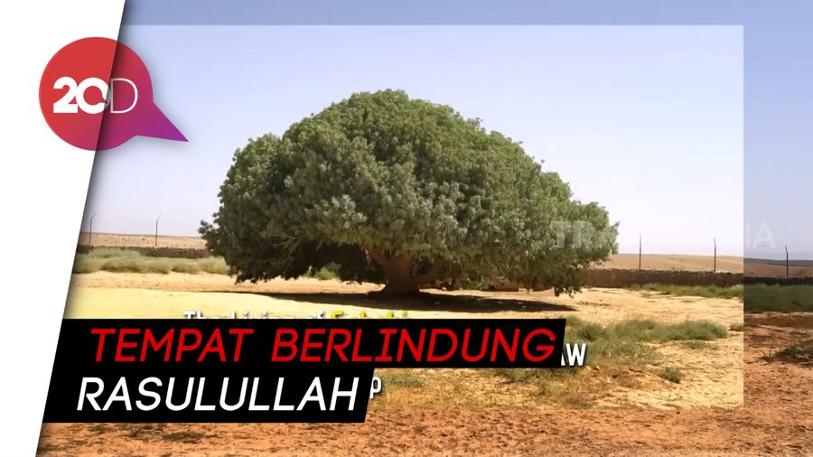 Melihat Sahabat Rasulullah yang Masih Hidup Sampai Sekarang