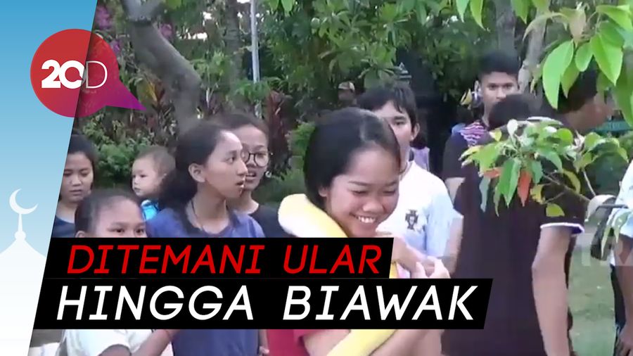 Wih! Warga di Denpasar dan Tegal Ngabuburit Bareng Reptil