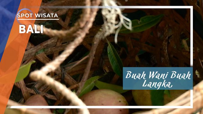 Buah Wani Buah Langka, Bali