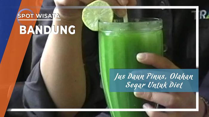 Jus Daun Pinus, Olahan Segar Cocok Untuk Diet