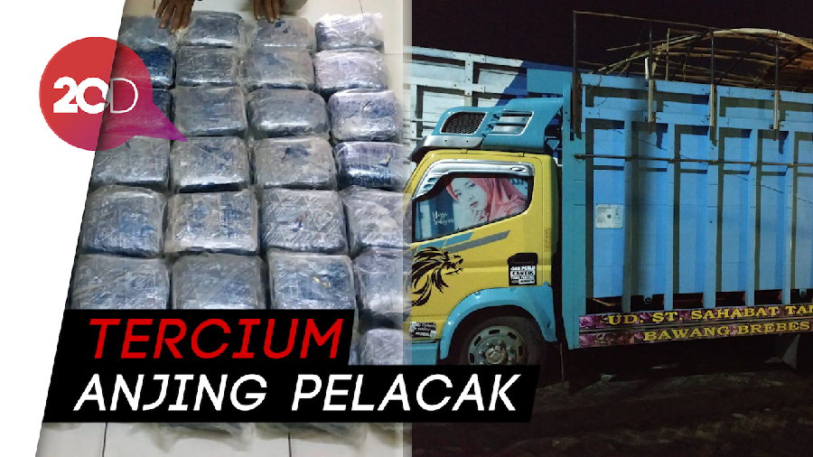 Truk Sayur Kol Dibongkar Isinya 35 Bungkus Sabu-sabu