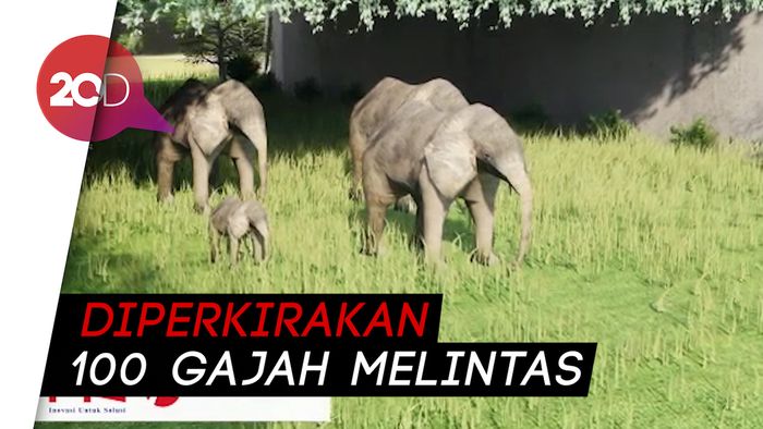 Ada Underpass untuk Gajah di Tol Pekanbaru-Dumai, Begini Bentuknya