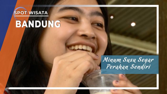 Minum Susu Segar Perahan Sendiri, hanya di Lembang