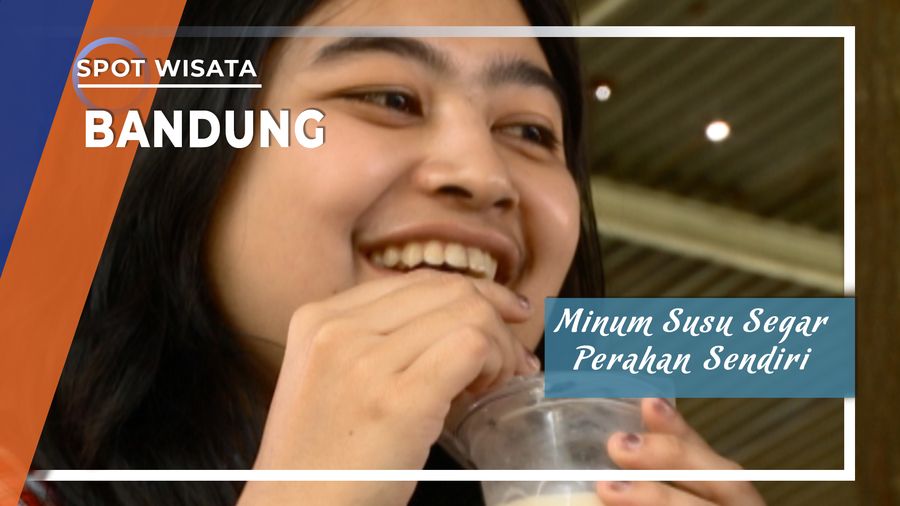 Minum Susu Segar Perahan Sendiri, hanya di Lembang