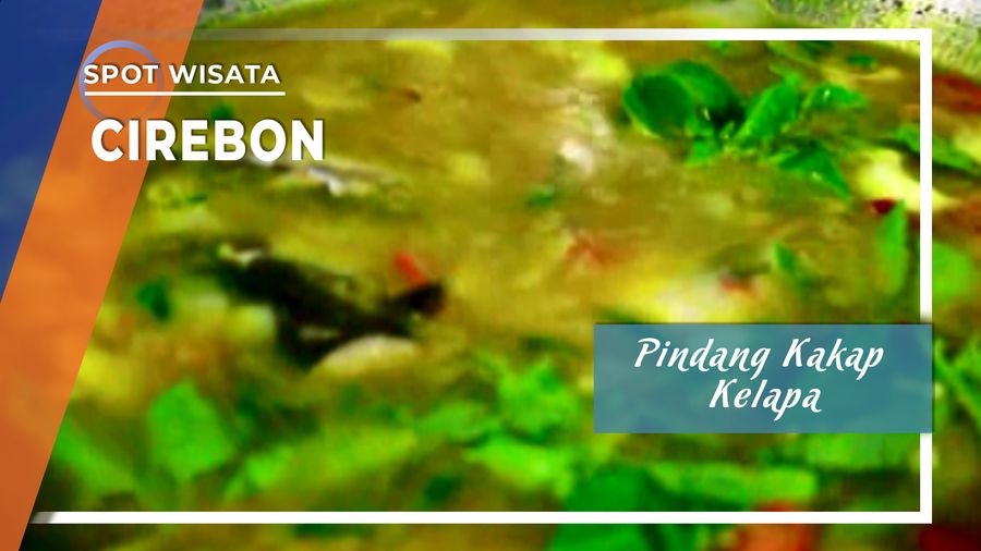 Pindang Kakap Kelapa Muda Cirebon