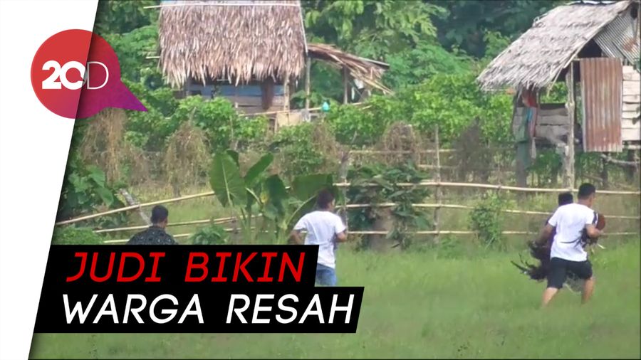 Bak Film Action! Penggerebekan Judi Sabung Ayam dan Letusan Senjata