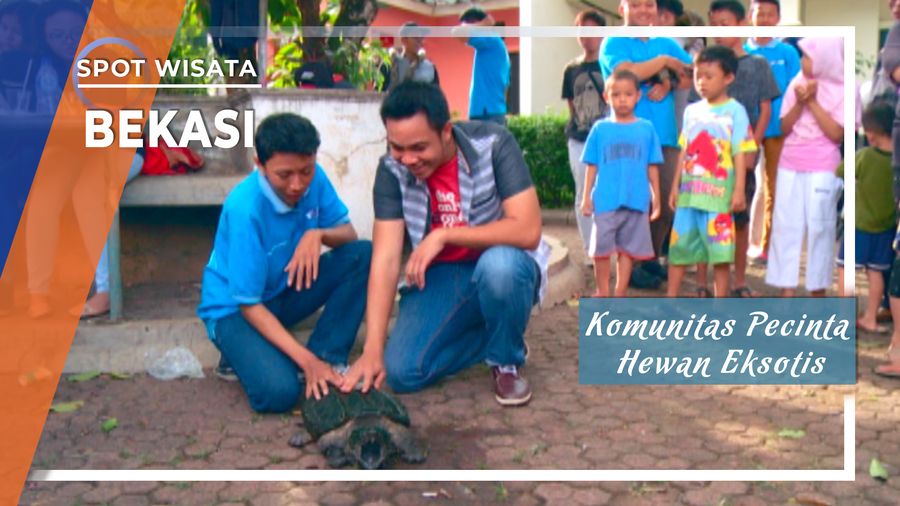 Komunitas Pecinta Hewan Eksotis Bekasi