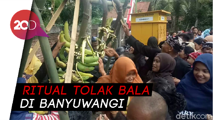 Berebut Pisang dan Koin Jutaan Rupiah di Ritual Barong Ider Bumi