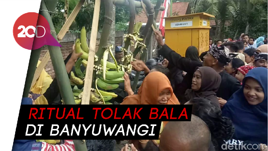 Berebut Pisang dan Koin Jutaan Rupiah di Ritual Barong Ider Bumi