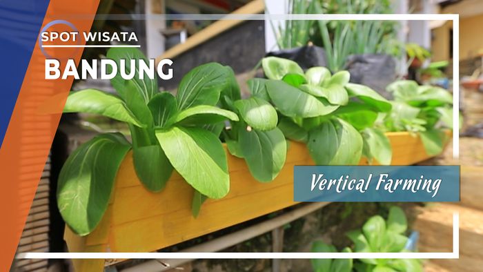Desa Pasangrahan Ujung Berung Bandung, Komunitas Vertical Farning Walagri Asri .