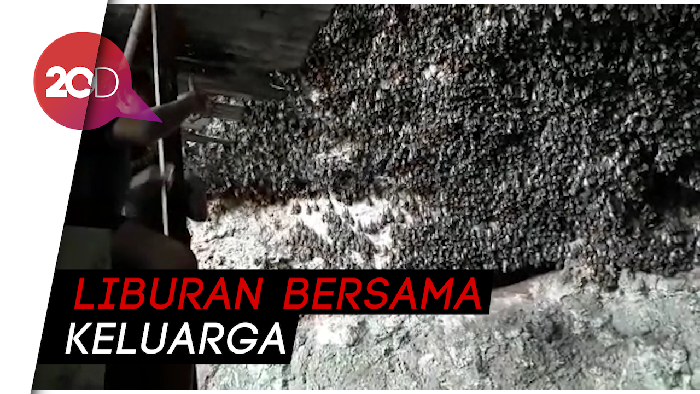 Destinasi Gua Ngerong di Tuban nan Eksotis