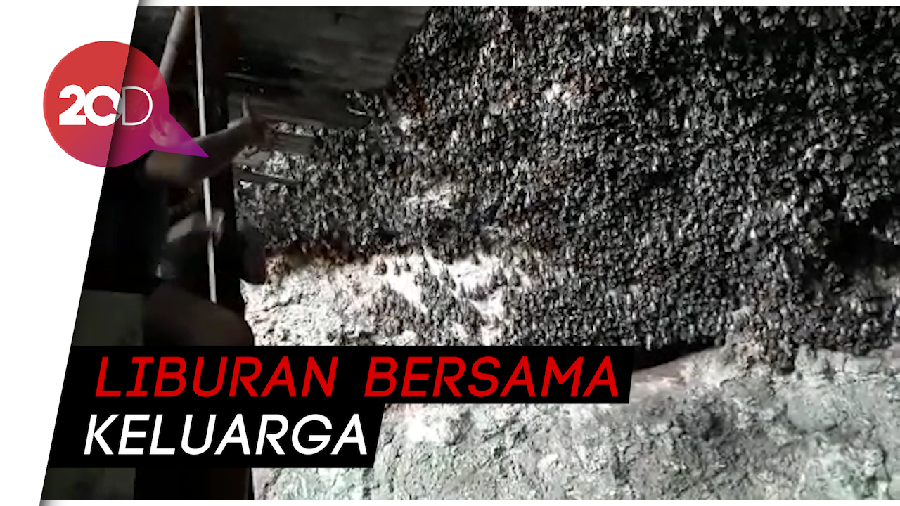 Destinasi Gua Ngerong di Tuban nan Eksotis