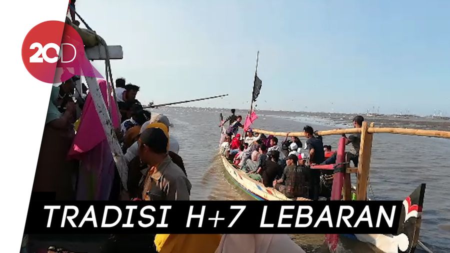 Praonan di Pasuruan Bertepatan Datangnya Kawanan Hiu Tutul