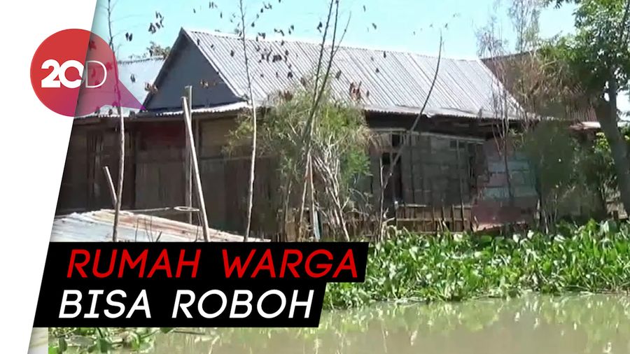 Teror Eceng Gondok Pascabanjir Sidrap