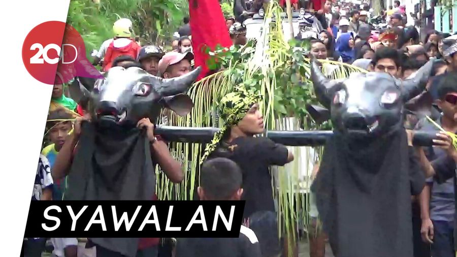 Tradisi Kebo-keboan Syawal dan Perang Air di Banyuwangi