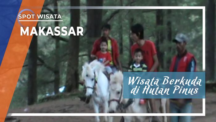 Wisata Berkuda di Hutan Pinus Tinggimoncong Gowa Sulawesi Selatan