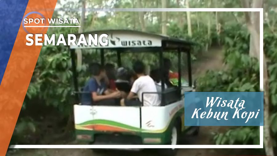 Wisata Kebun Kopi, Semarang