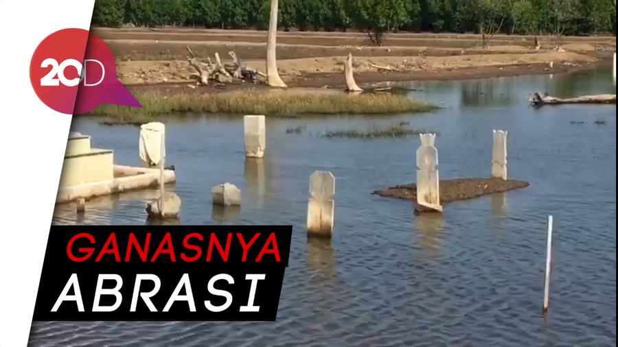 3 Kampung Hilang hingga TPU Tenggelam Akibat Abrasi  di Bekasi