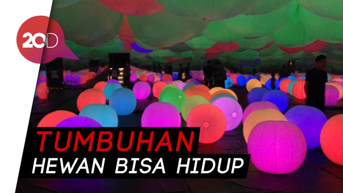 Bermain di Taman Digital Kelas Dunia teamLab Future Park Jakarta