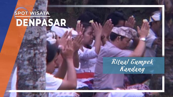 Ritual Tumpek Kandang, Denpasar, Bali 