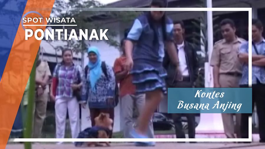 Kontes Busana Anjing, Pontianak