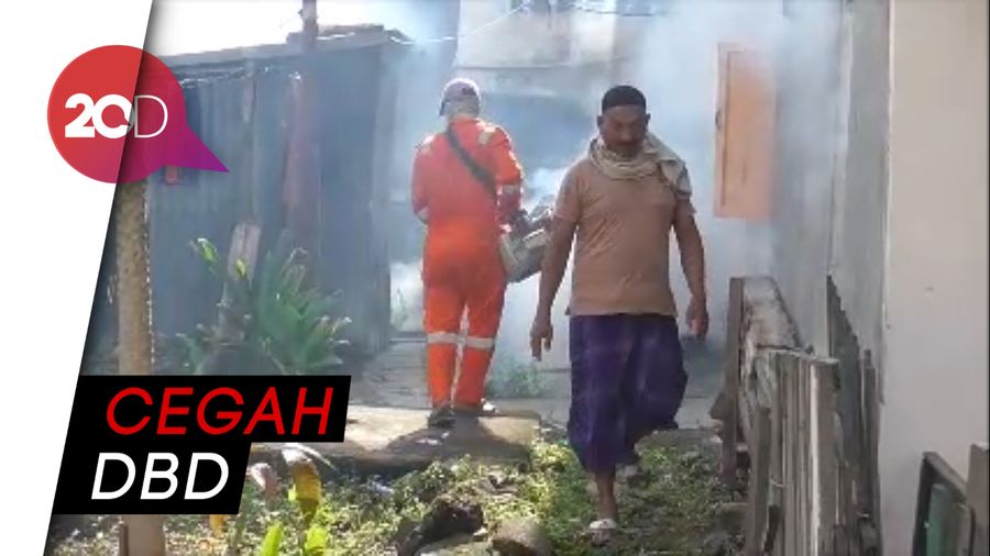 Cegah Penularan DBD, Puskesmas di Polman Lakukan Pengasapan