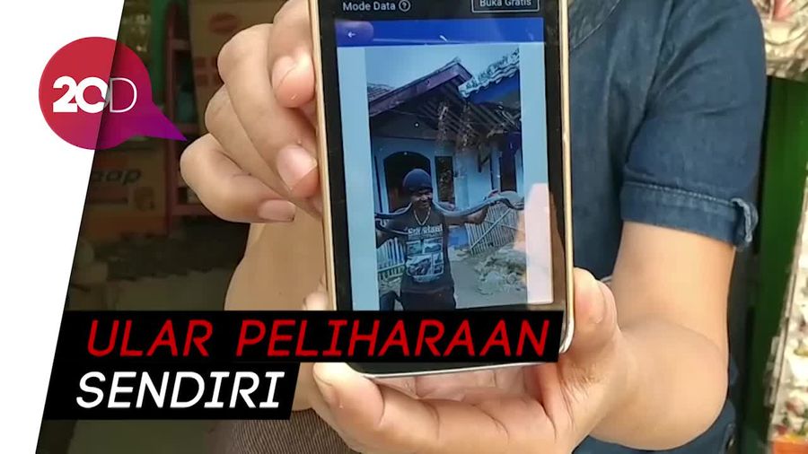 Kesaksian Warga Bandung Korban Dililit Ular Sanca