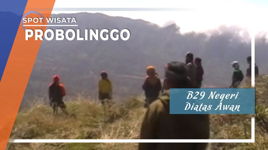Ledok Ombo Puncak Negeri Di Atas Awan Probolinggo Ledok Ombo Puncak Negeri Di Atas Awan Probolinggo