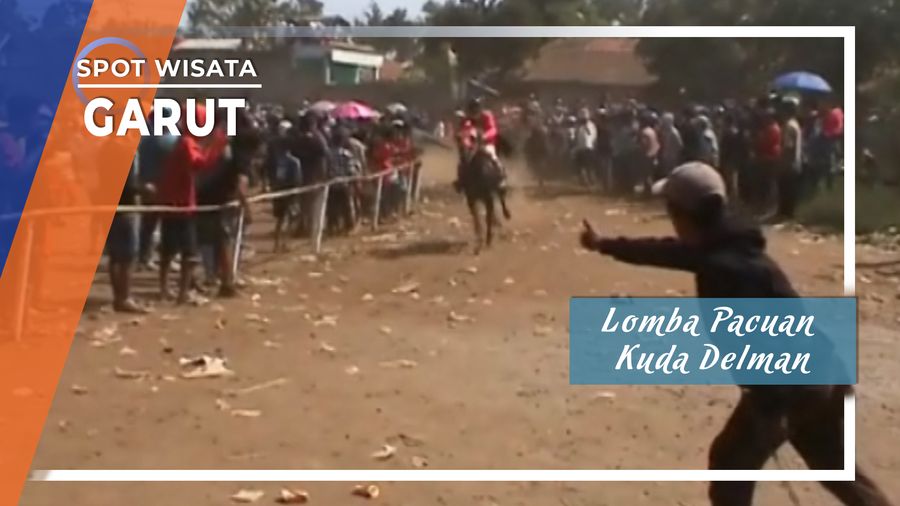 Lomba Pacuan Kuda Delman Pangatikan Garut