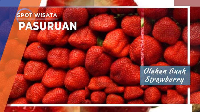 Olahan Buah Strawberry Pasuruan 