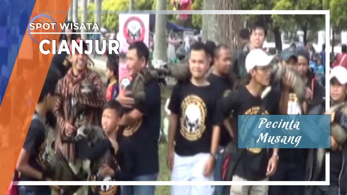 Pecinta Musang, Cianjur