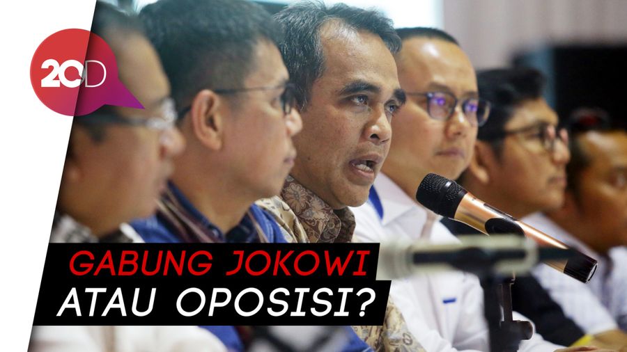 Ke Mana Demokrat dan PAN Berlabuh Usai Putusan MK?