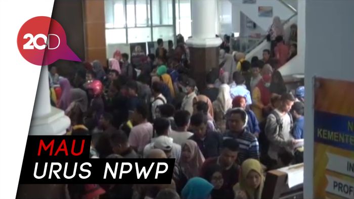 Membeludak! Ribuan Tenaga Honorer di Kendari Padati Kantor Pajak