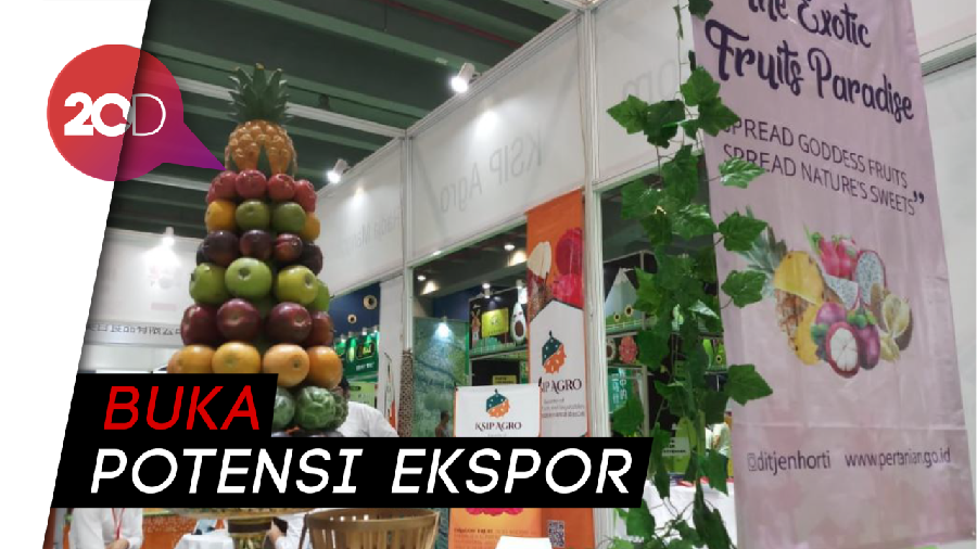 Pemerintah Genjot Buah Tropis Indonesia Masuk ke China