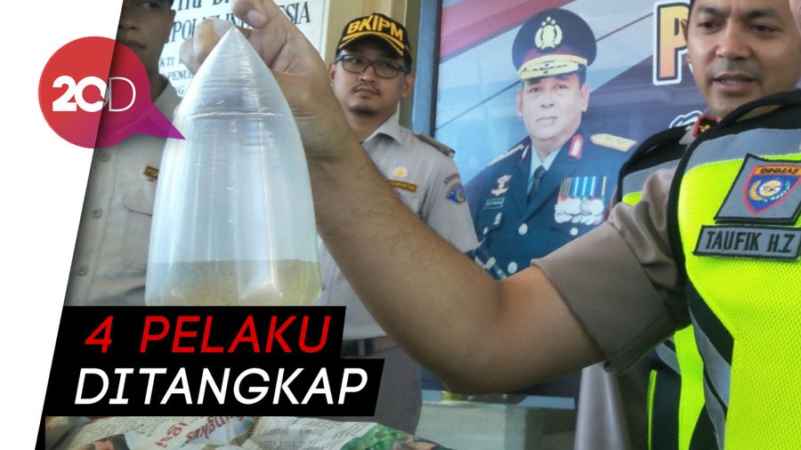 Penyelundupan Bayi Lobster Senilai Rp 2,6 Miliar Digagalkan Polisi!